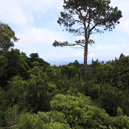Casas Do Caminho Novo Villa São Roque do Pico Dış mekan fotoğraf